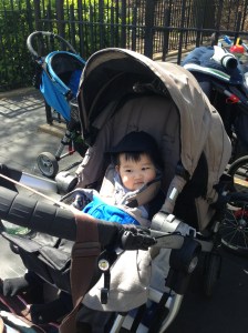 Man of the Hour, waiting patiently (pictured here before tantrum erupted)