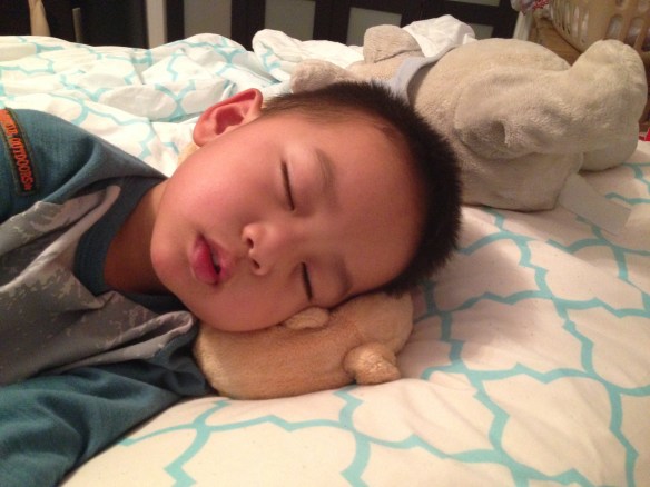 my precious boy with his favorites.  Lion Mommy and Ellis Elephant not pictured