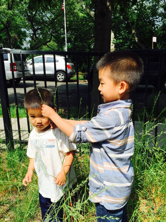 "Ellis, you're growing up fast but this weed is still taller than you."